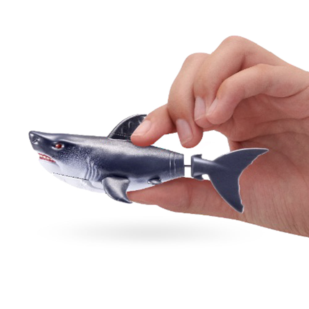 Robo Shark Robotic Pool Cleaner