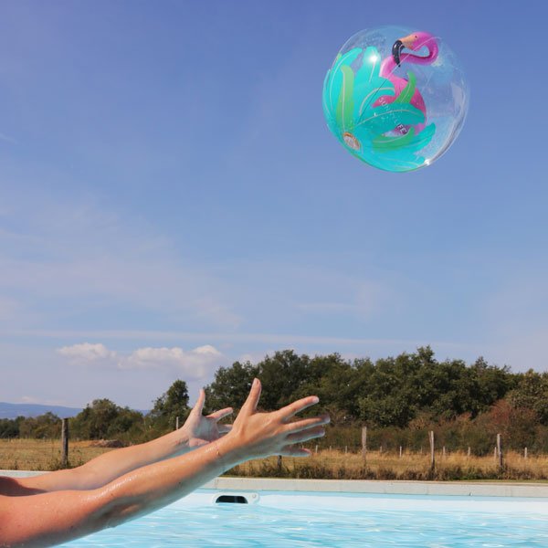 Ballon flamant rose Flamingo