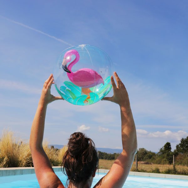 Ballon flamant rose Flamingo