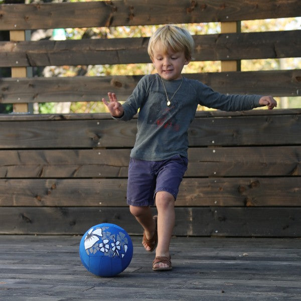 Ballon volley piscine Hawaï
