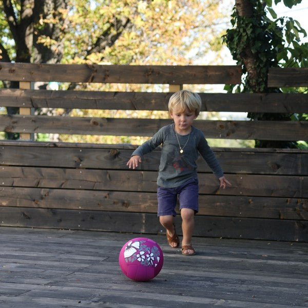 Ballon volley piscine Hawaï