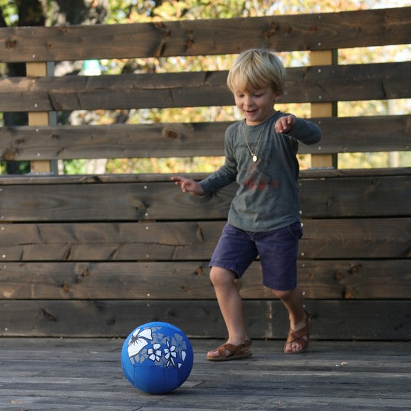 Ballon volley piscine Hawaï