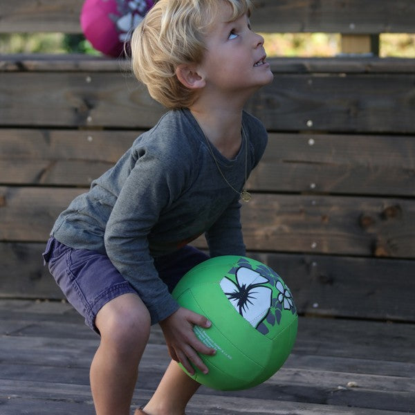 Ballon volley piscine Hawaï