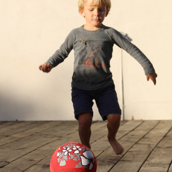Ballon volley piscine Hawaï
