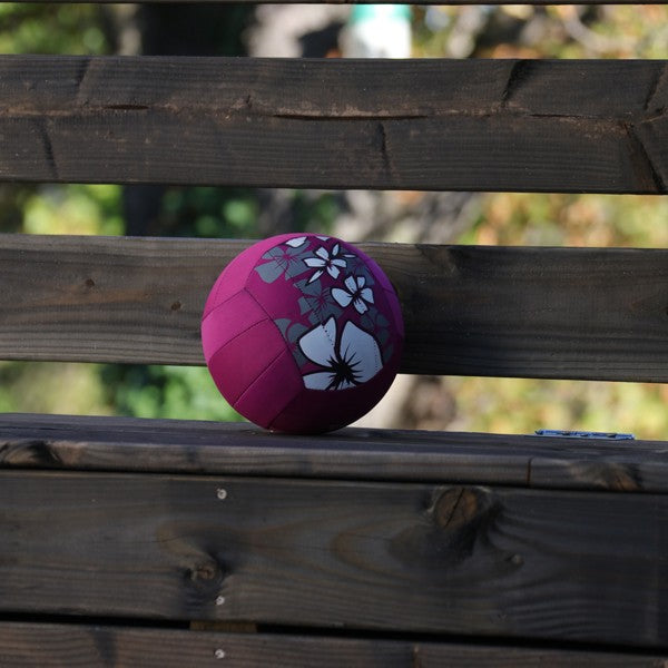 Ballon volley piscine Hawaï