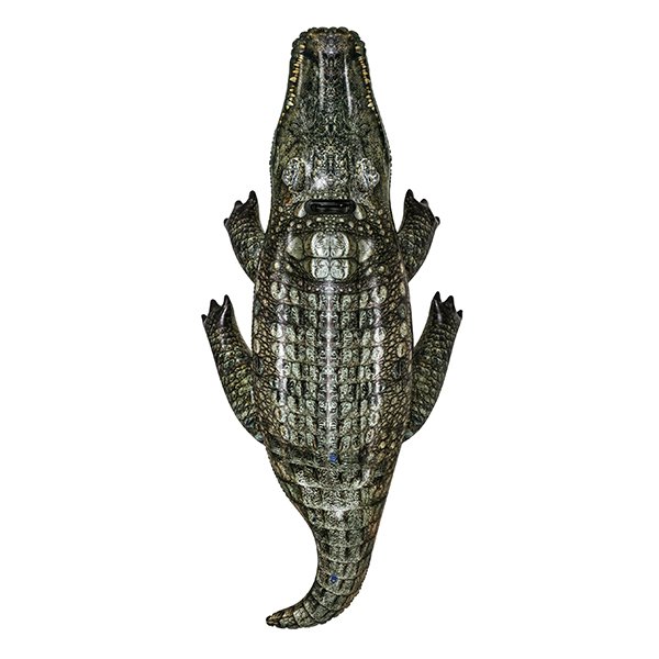 Crocodile gonflable piscine