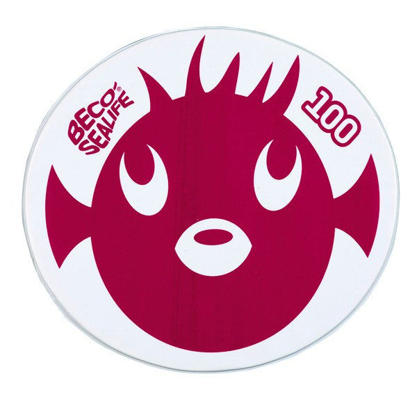 Jeu de piscine Animaux Lestés