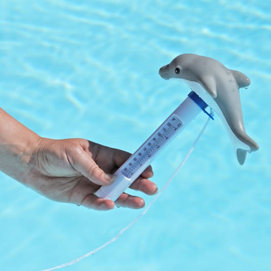 Thermometre de piscine Animals Dolphy