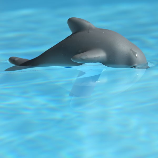 Thermometre de piscine Animals Dolphy