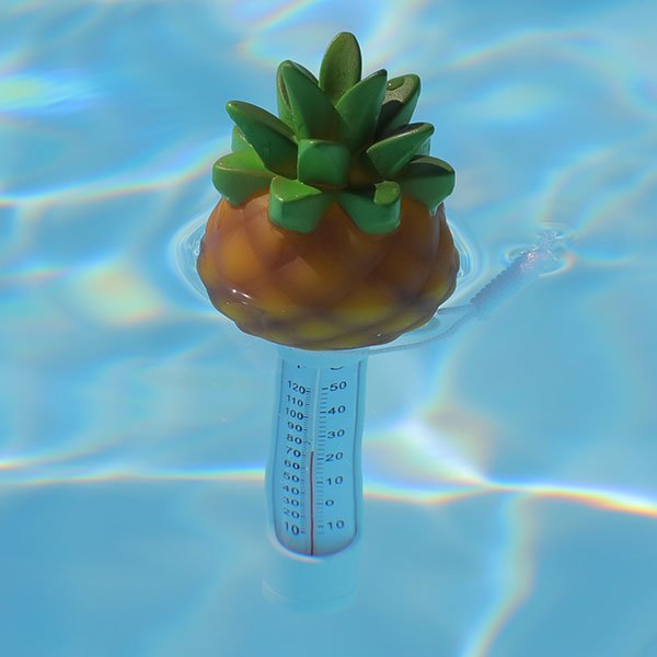 Thermometre pour piscine Ananas