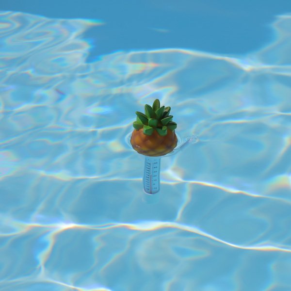 Thermometre pour piscine Ananas
