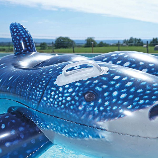Baleine gonflable piscine