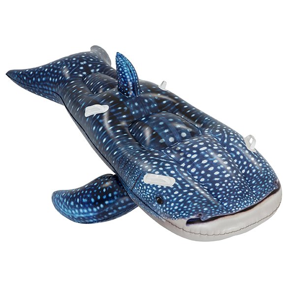 Baleine gonflable piscine
