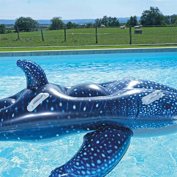 Baleine gonflable piscine