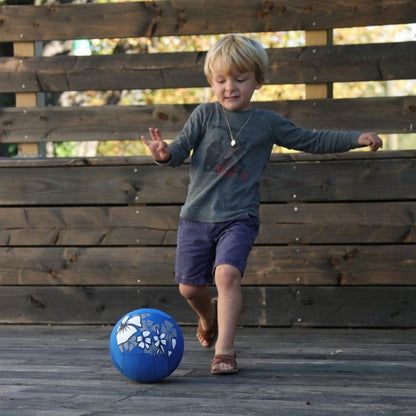 Ballon volley piscine Hawaï