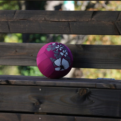 Ballon volley piscine Hawaï