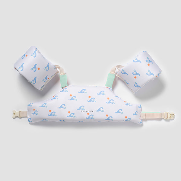 Brassards Ceinture