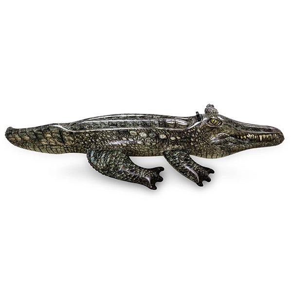 Crocodile gonflable piscine