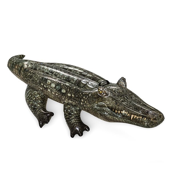 Crocodile gonflable piscine
