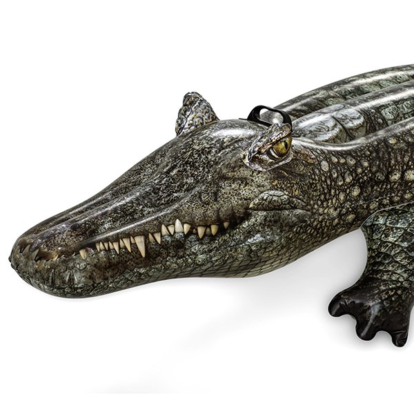 Crocodile gonflable piscine