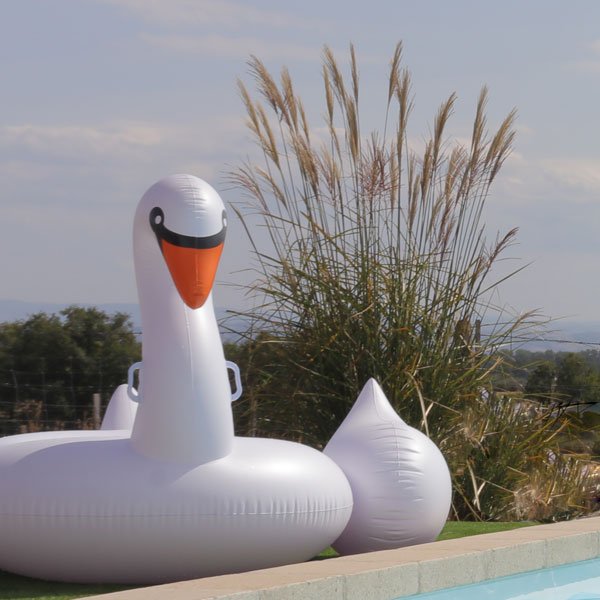 Cygne gonflable
