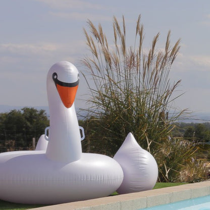 Cygne gonflable