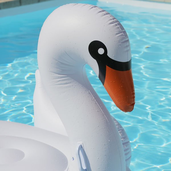 Cygne gonflable
