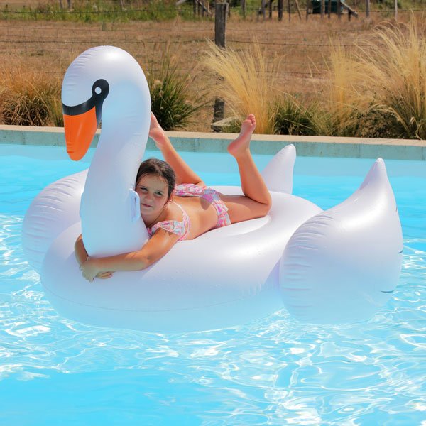 Cygne gonflable