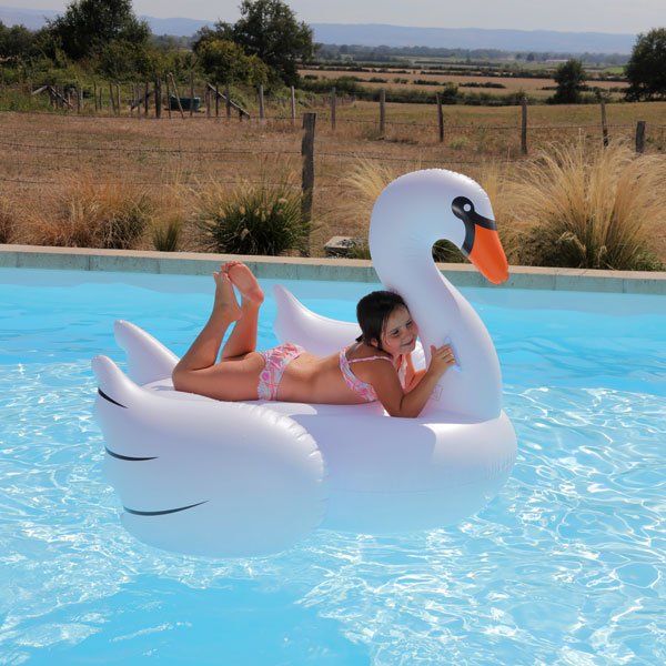 Cygne gonflable