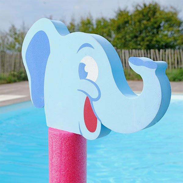 Frite mousse Aquamicos