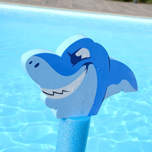 Frite mousse Aquamicos