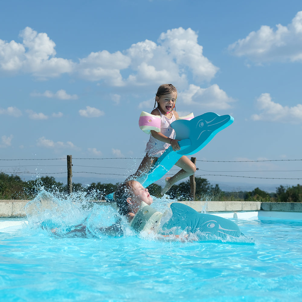 Leo Dolphin Pool Game