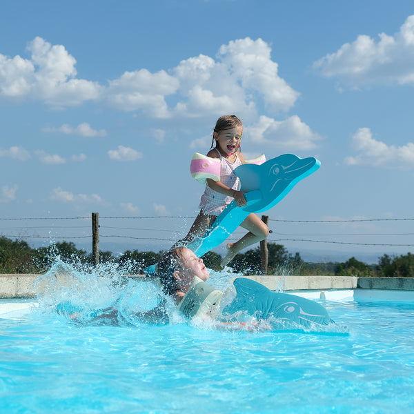 Leo Dolphin Pool Game