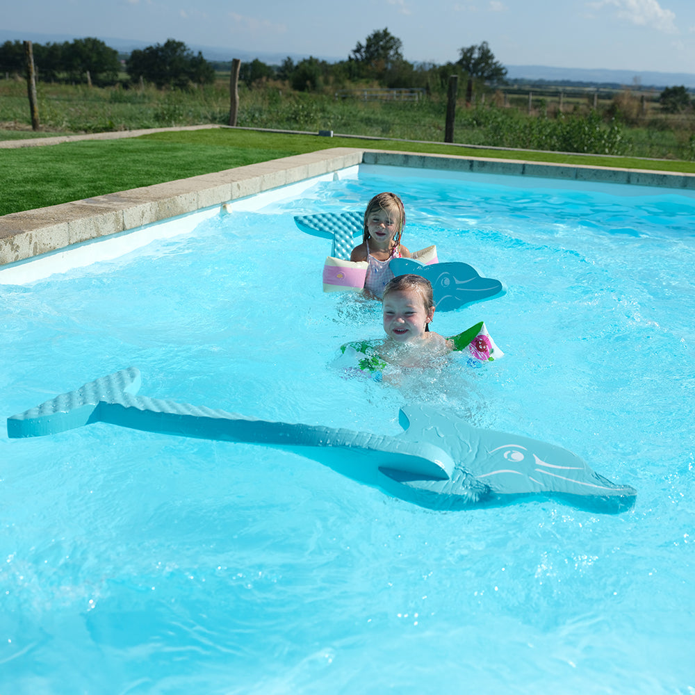 Leo Dolphin Pool Game
