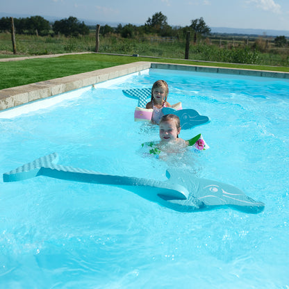 Leo Dolphin Pool Game