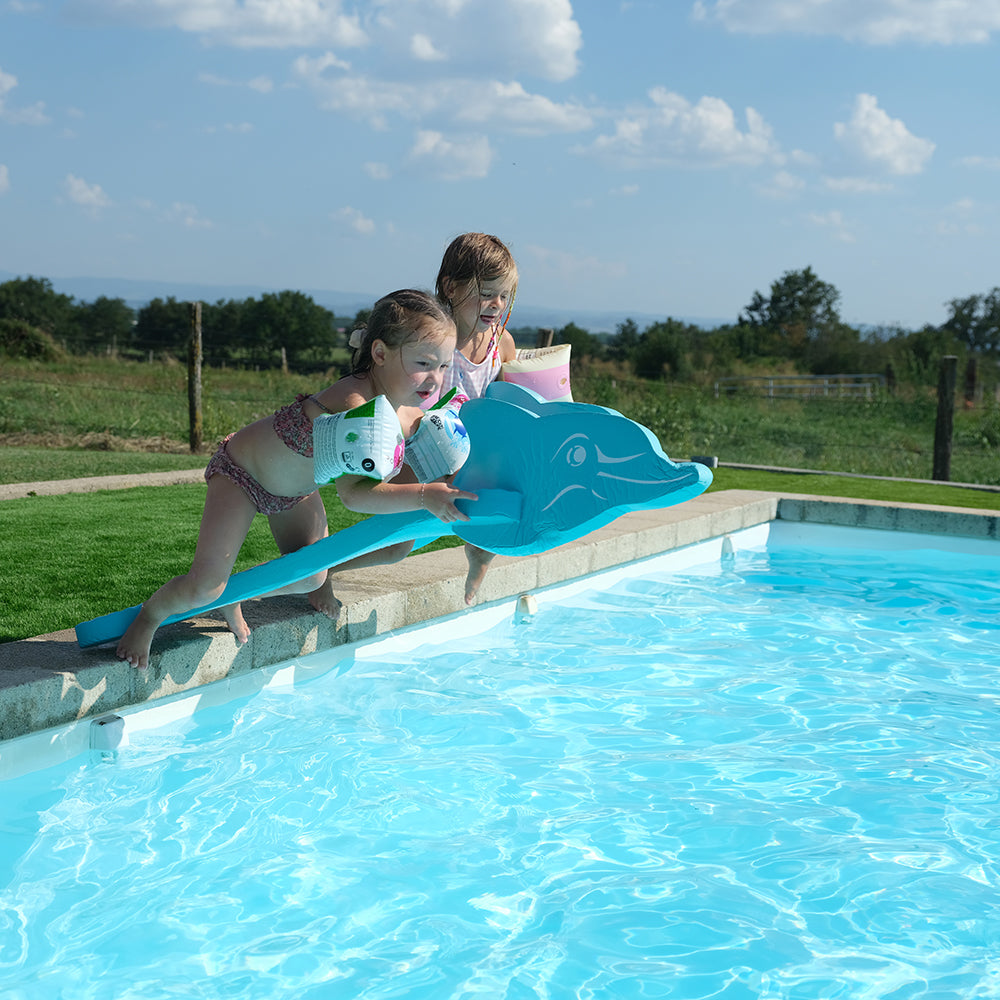 Leo Dolphin Pool Game