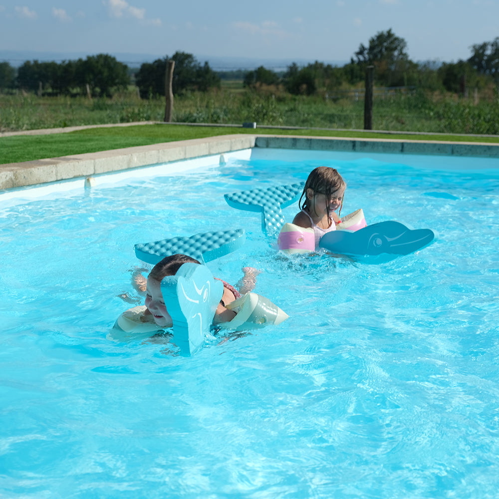 Leo Dolphin Pool Game