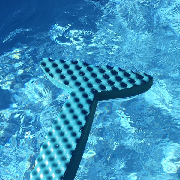 Jeu de piscine dauphin Léo