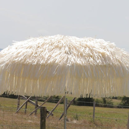 Parasol Hawaï