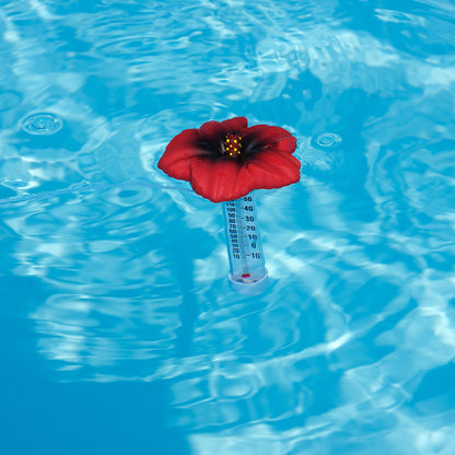 Thermomètre piscine original Tropical