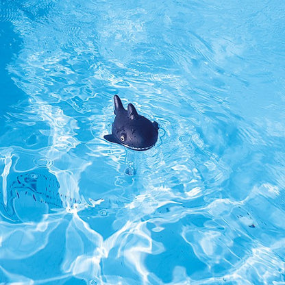 Thermomètre original requin Squale