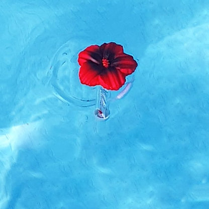 Thermomètre piscine original Tropical