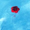 Hibiscus fleur