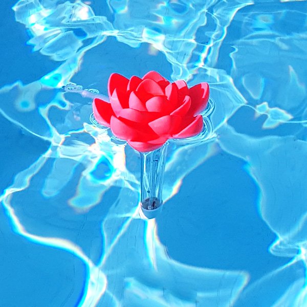 Thermomètre piscine original Tropical