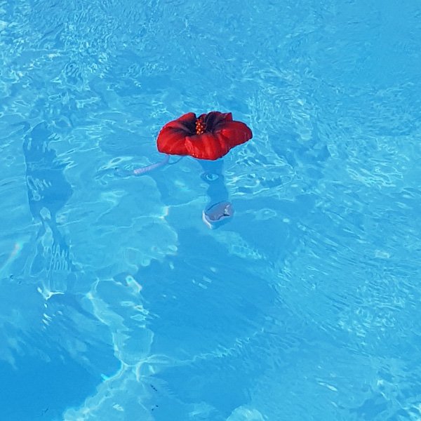 Thermomètre piscine original Tropical