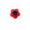 Hibiscus fleur