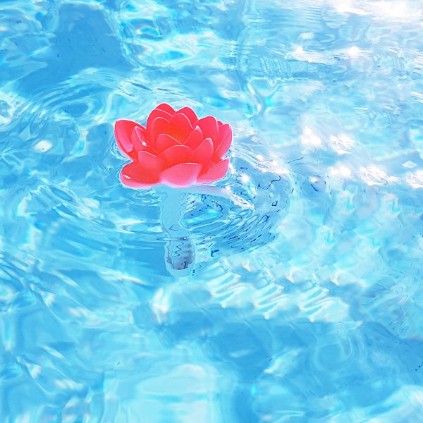 Thermomètre piscine original Tropical