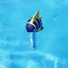 Blue Fish poisson tropical