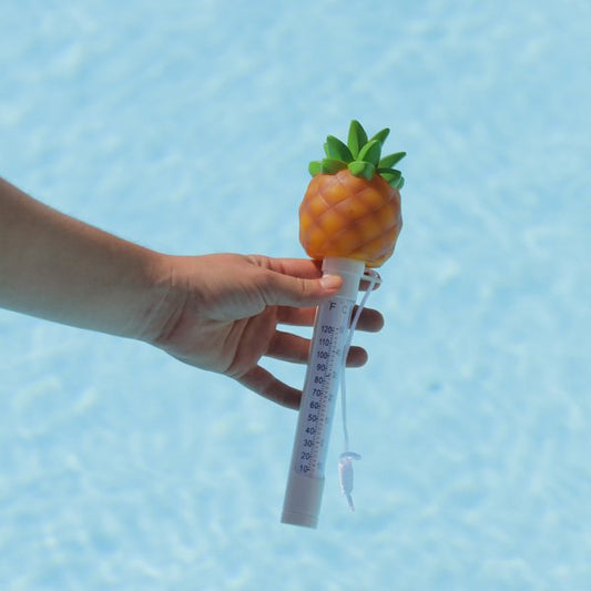 Thermometre pour piscine Ananas