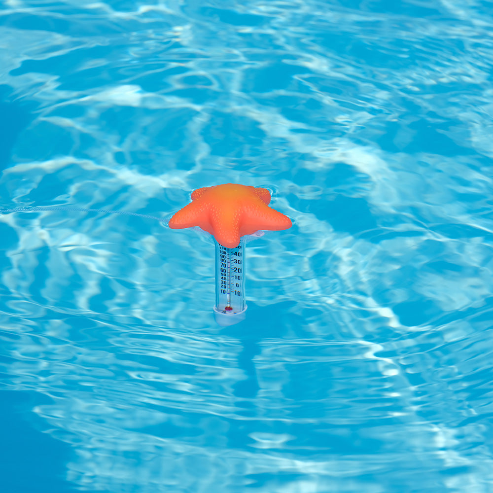 Thermomètre piscine original Tropical